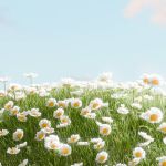 The role of a wedding film in reliving your day